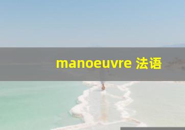 manoeuvre 法语